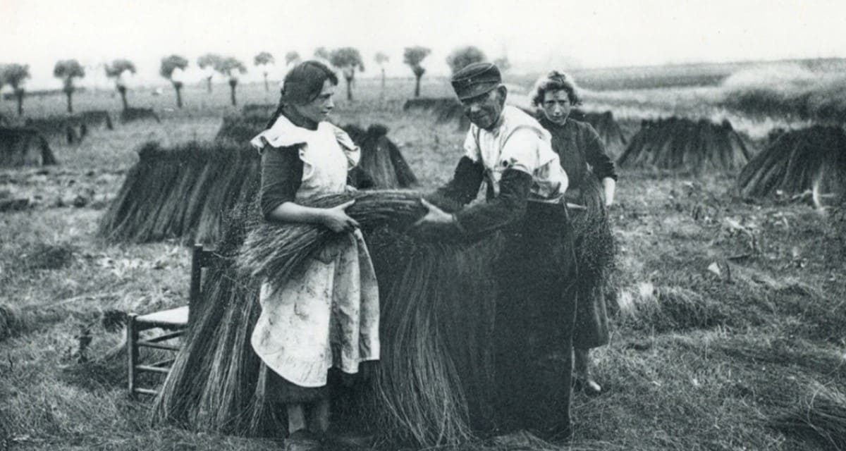 History of Unilin Panels - flax